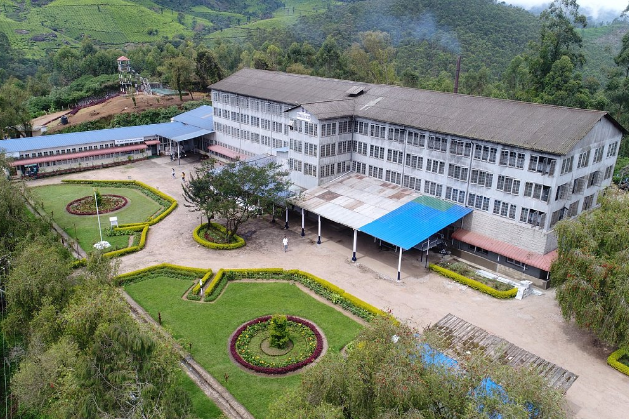 Lockhart Tea Factory Visit, Munnar